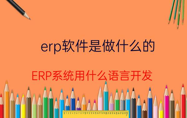 erp软件是做什么的 ERP系统用什么语言开发？